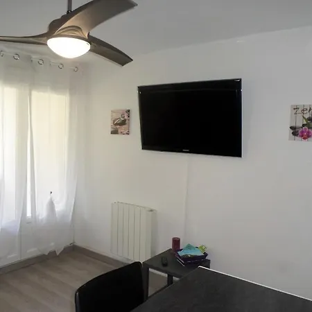 شقة Agreable 2 Pieces Pour 4 Pers- Climatise- Terrasse Ombragee-parking - 200m Plage بورم لي ميموزا